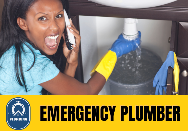 emergency plumber Bexleyheath
