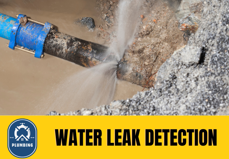 leak detection Bexleyheath